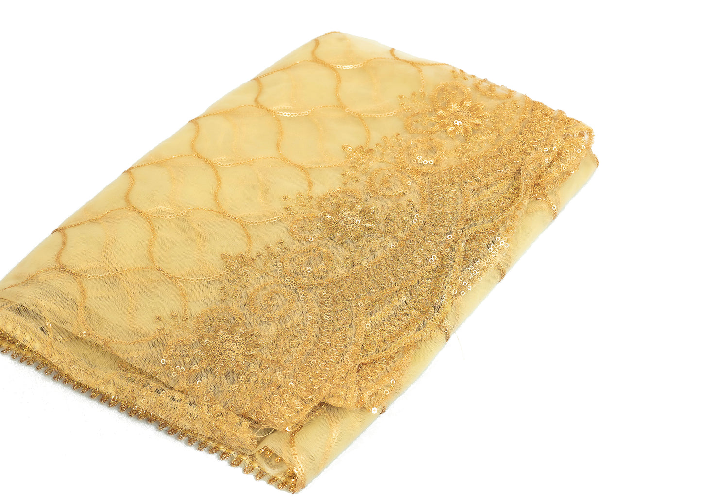 Net Sequence work Dupatta